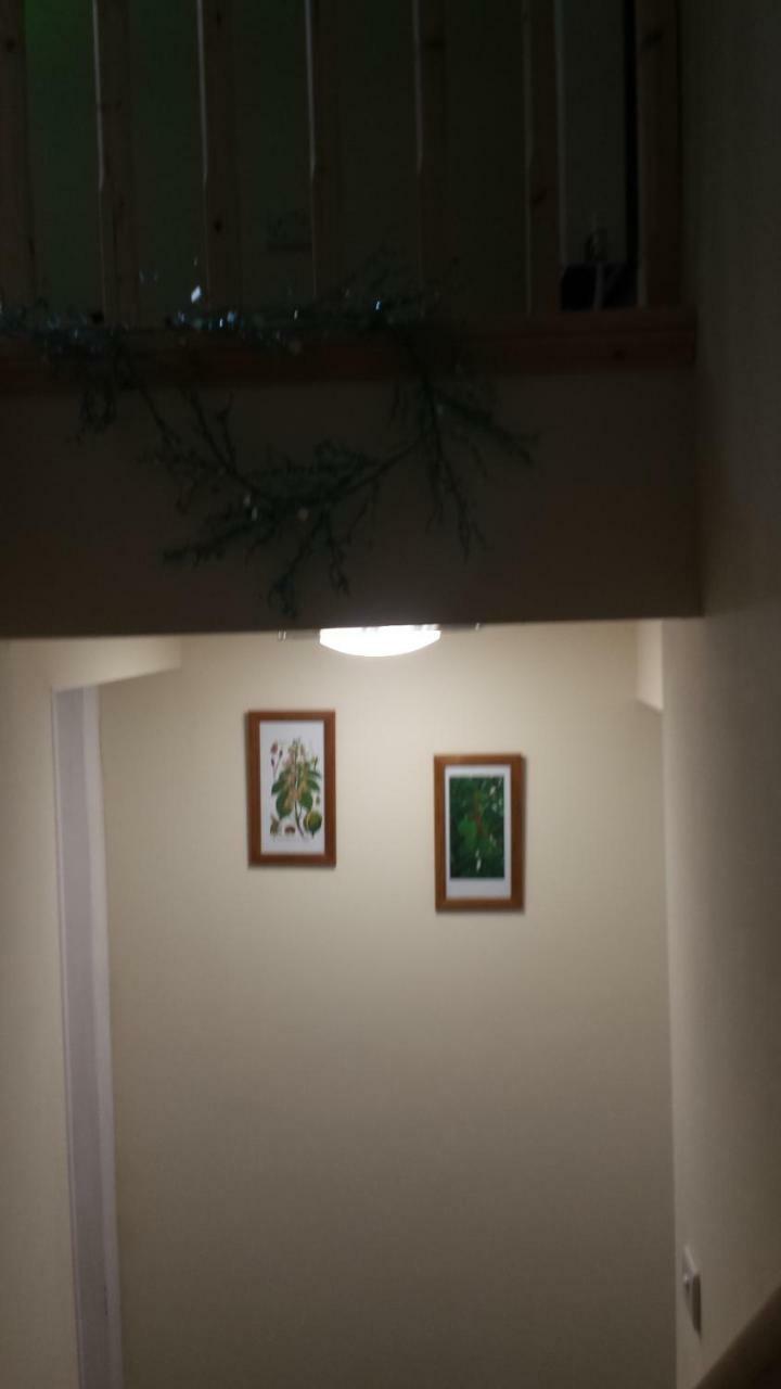 Appartamento The Saracens Head The Conkera Chapel Saint Leonards Esterno foto